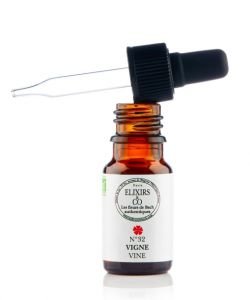 Vine (No. 32) BIO, 10 ml